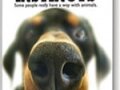 animal-instincts