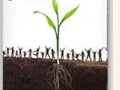 planting-seeds
