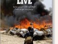 reporting-live